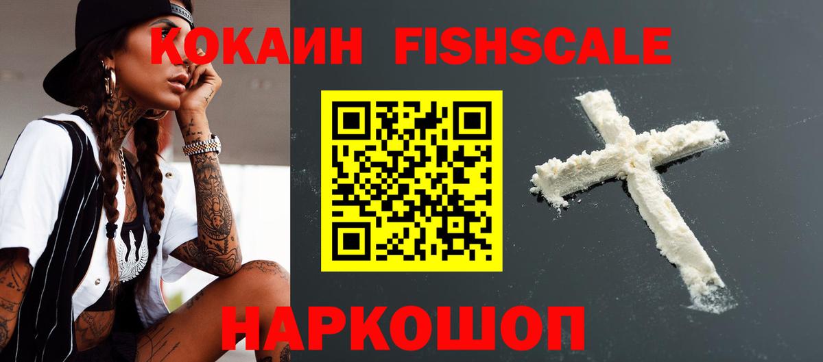 где купить наркоту  Вход с VPN  КОКАИН Fish Scale  Кашира  Cocaine 97% 