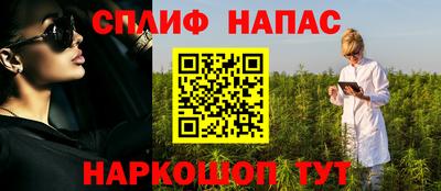 прущие грибы Ставрополь