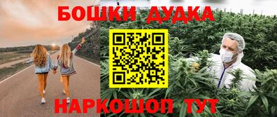 прущие грибы Ставрополь