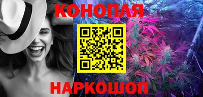 прущие грибы Ставрополь