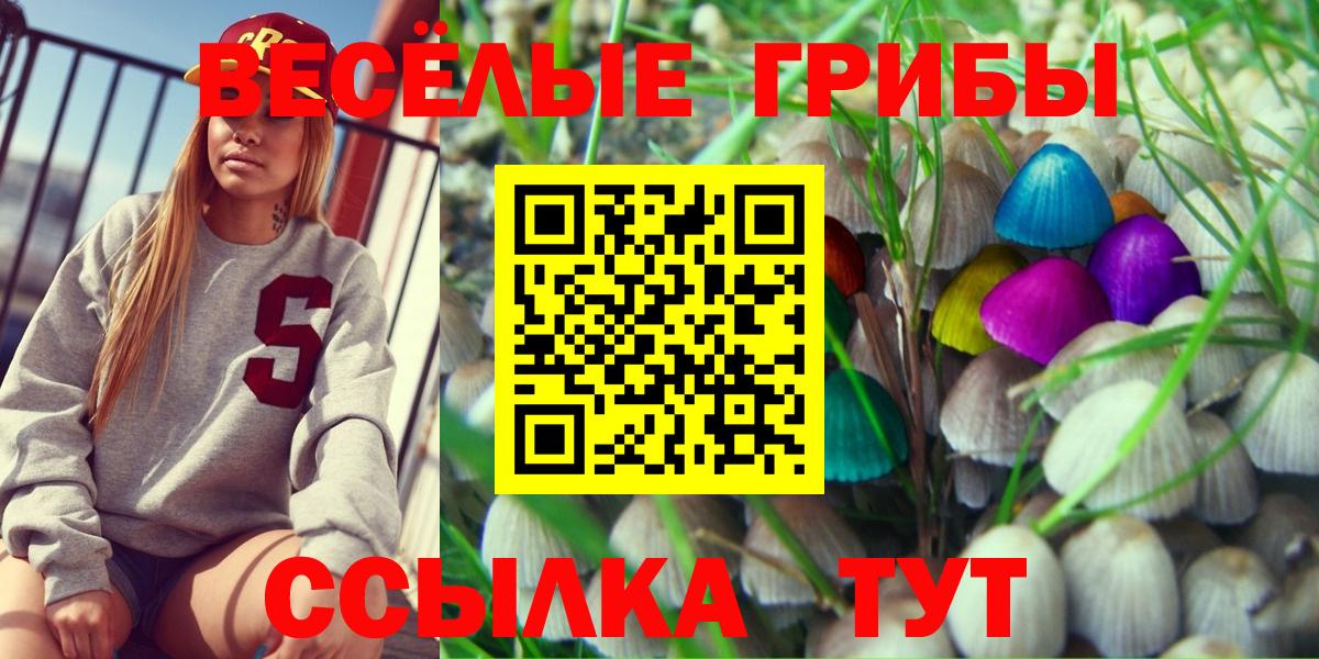 где купить наркотик  Вход с VPN  Кашира  Галлюциногенные грибы Psilocybe 