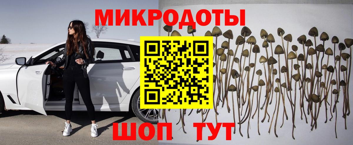 Галлюциногенные грибы мицелий Кашира